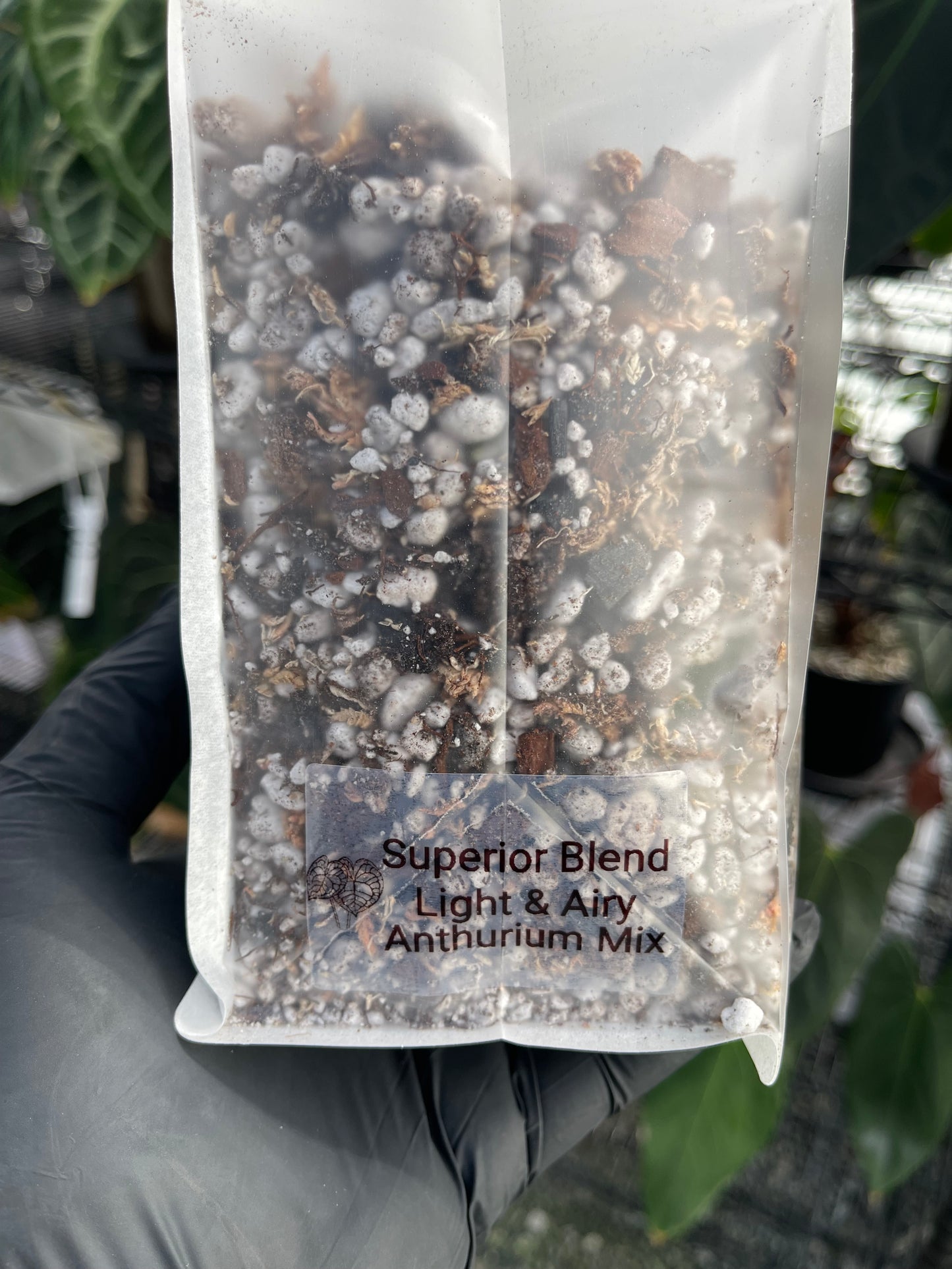 Superior Blend- Light & Airy Anthurium Mix