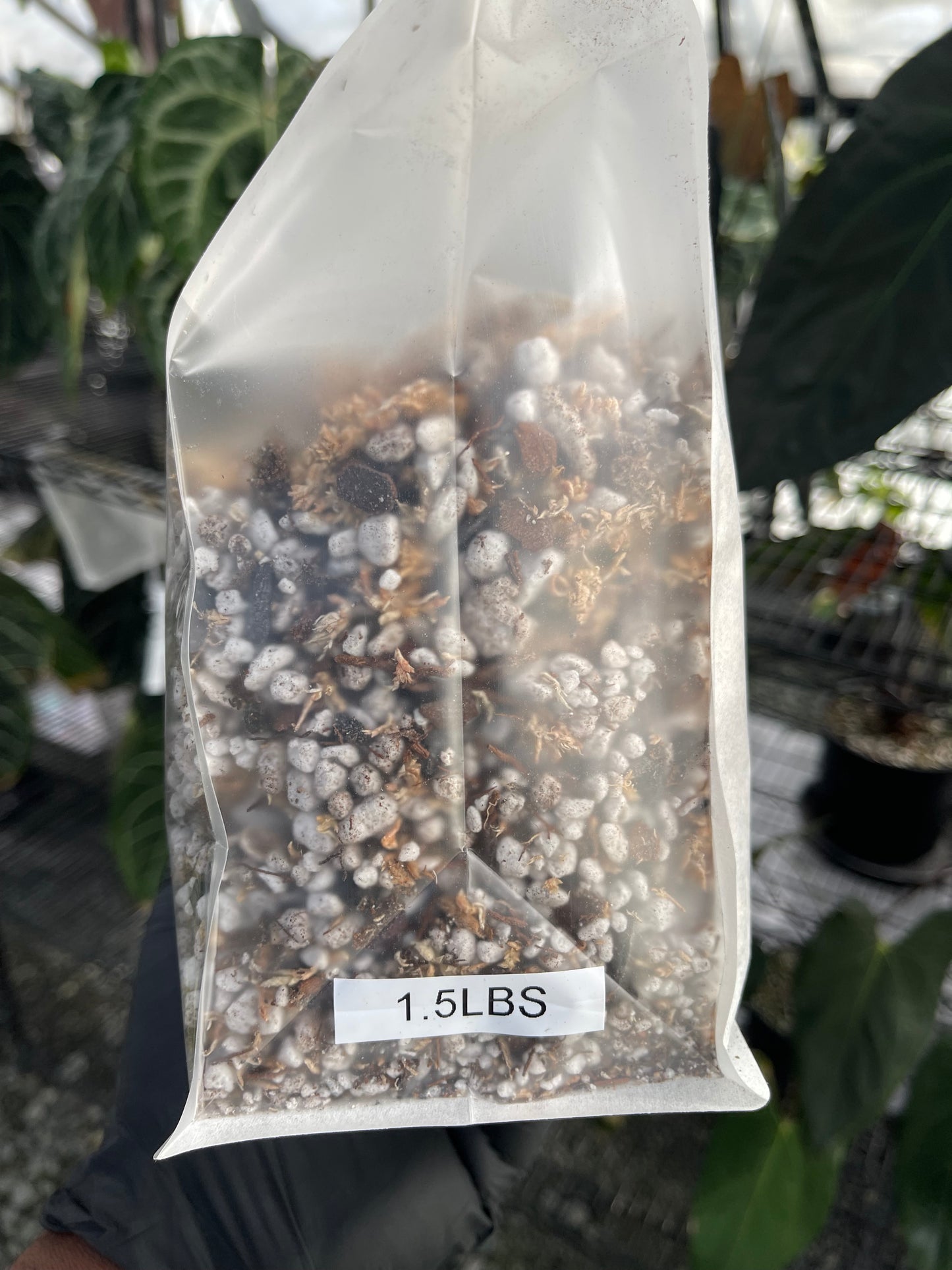 Superior Blend- Light & Airy Anthurium Mix